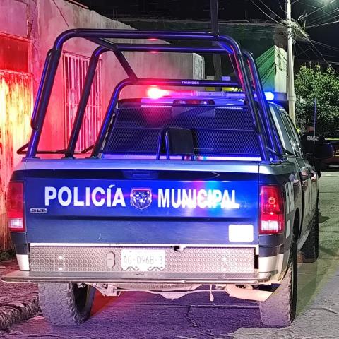 Violencia