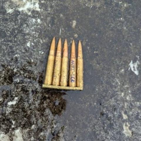 Balas