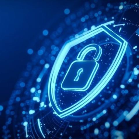 Alista Senado Ley Nacional en Ciberseguridad y legislación en materia de libertad de expresión