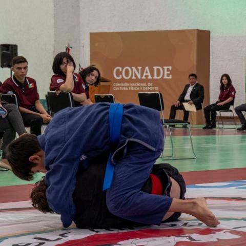 Campeonato Panamericano de Jiu Jitsu 2025