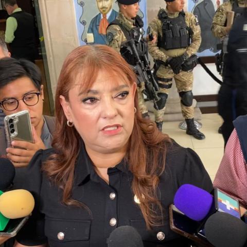 Esto no es un juego pero la salud tampoco: Mónica Becerra sobre su regreso a la Cámara de Diputados