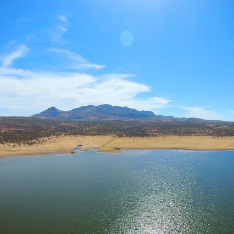 Presa