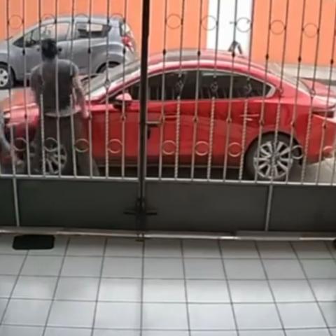 La violenta escena fue captada por una cámara de seguridad de la cochera de una casa en la Altavista