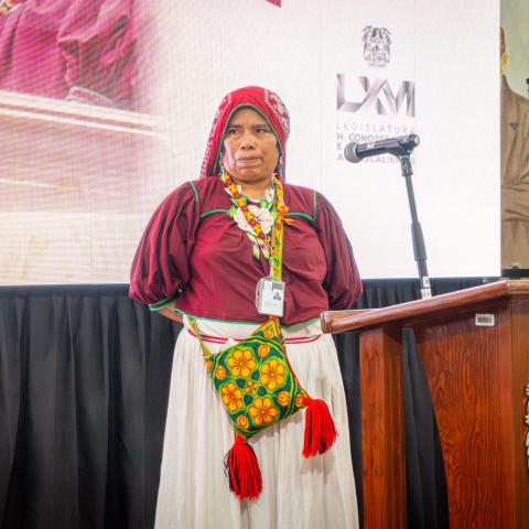 irma reza