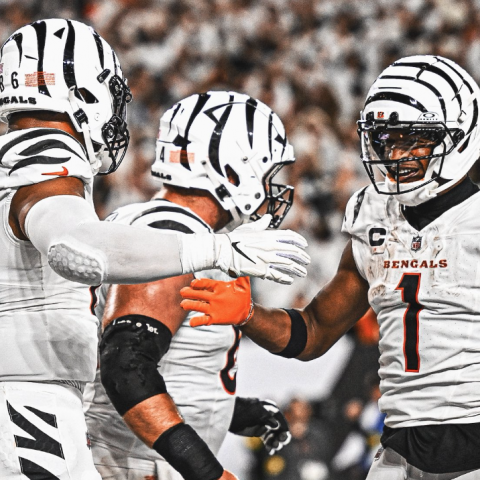 BENGALS VS STEELERS 2025