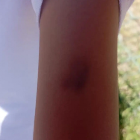 Violencia en escuela primaria de Aguascalientes