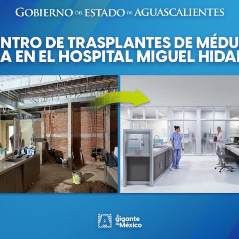 Centro de Trasplante de Médula Ósea