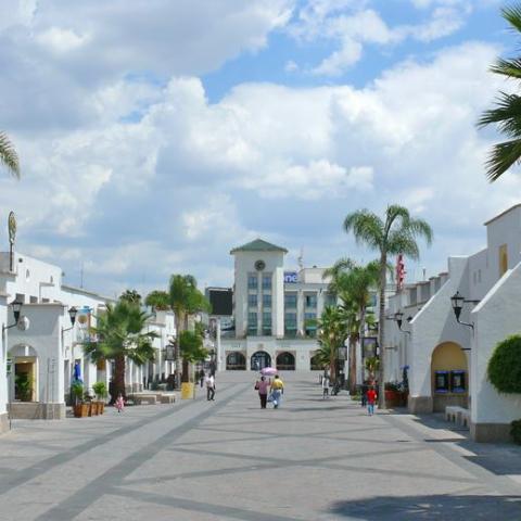 FESTIVAL DE CALAVERAS
