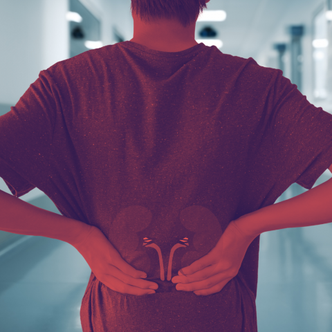 “Vendo mi riñón”: otra cara de la crisis renal en Aguascalientes