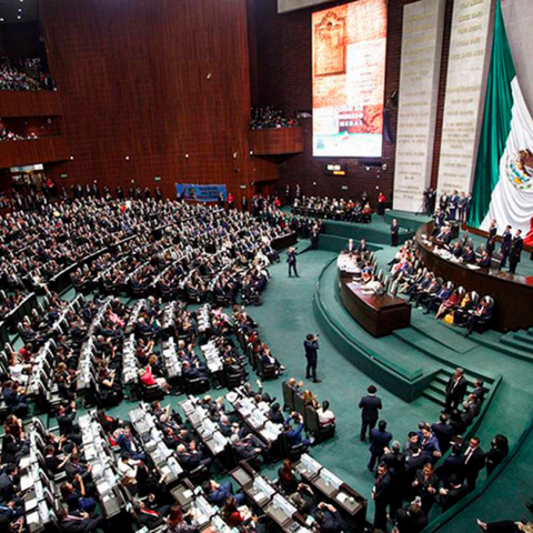Proponen reforma constitucional para aplicar exámenes toxicológicos a funcionarios de alto nivel