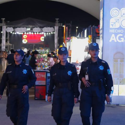 Festival Cultural de Calaveras 2025