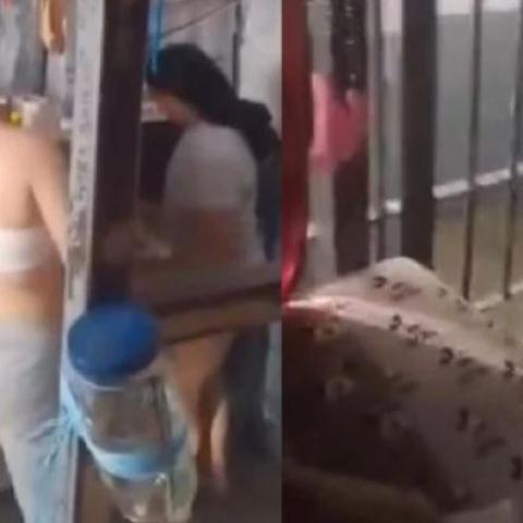 Internas de penal 