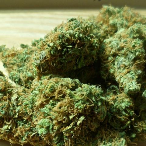 Marihuana