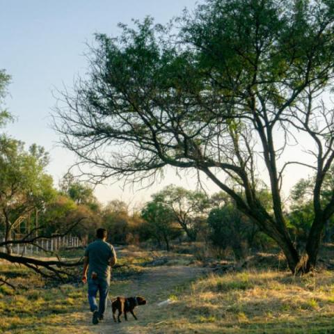 Desarrollo Especial La Pona 