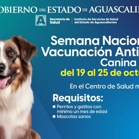 Semana Nacional Antirrábica Canina y Felina