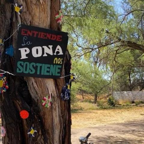 Salvemos La Pona 