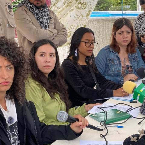 Ambientalistas
