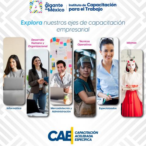 Curso de capacitación