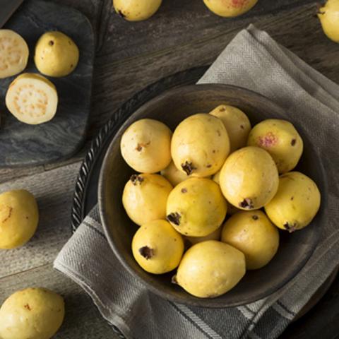 Guayaba 