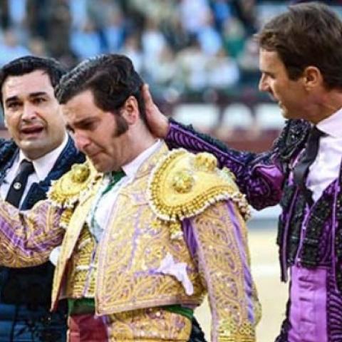Corridas de toros