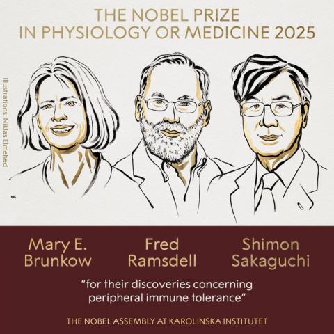 Premio Nobel medicina