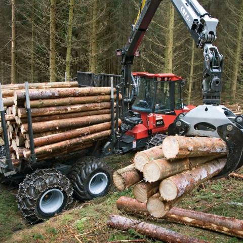 Entran en vigor aranceles de EE.UU. a madera y muebles