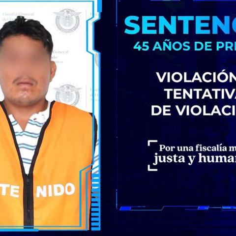 Cuando estaba a punto de consumar una nueva agresión un familiar abrió la puerta y descubrió lo que estaba ocurriendo