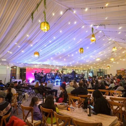 Comercios en Triana no afectarían electricidad en barrio del Encino: Mercados