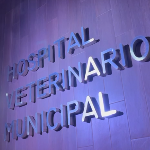 Inauguración del Hospital Veterinario Municipal 