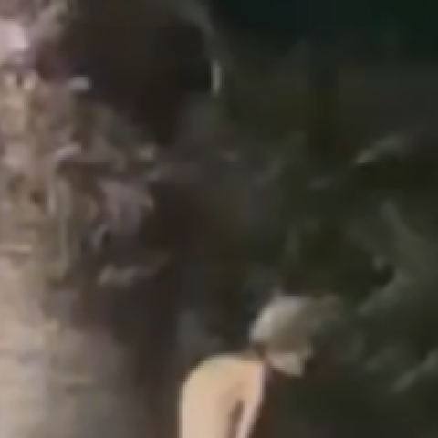 Rescatan a adulta mayor en Aguascalientes 