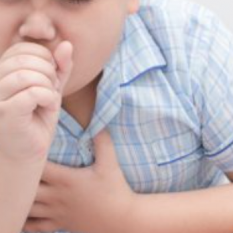 Enfermedades respiratorias 