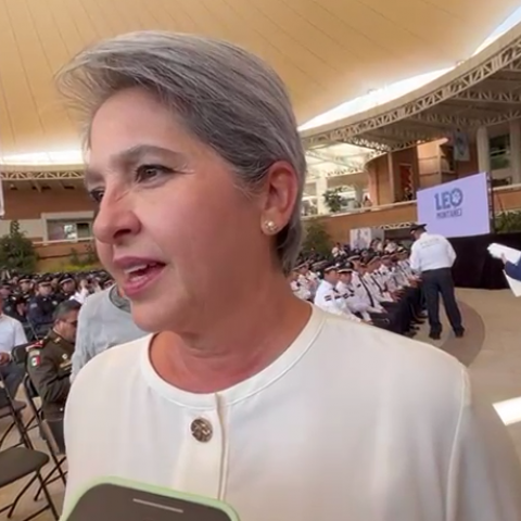 Karla Martorell Moya, Coordinadora de la Mesa Ciudadana de Seguridad y Justicia en Aguascalientes