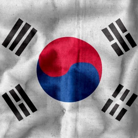 Bandera de Corea del Sur 