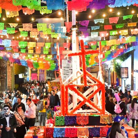 Festival Cultural de Calaveras 2025