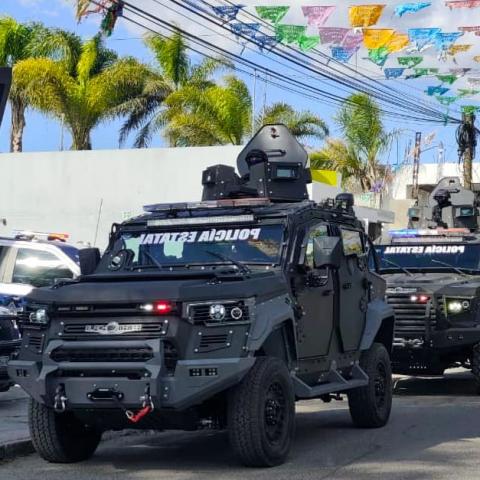 Policía estatal