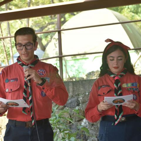 Scouts 