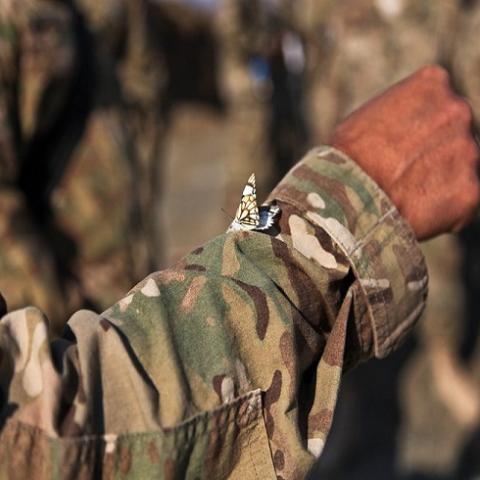 Soldado de Venezuela 