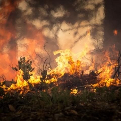 Hasta 25 incendios atiende diariamente protección civil municipal de Aguascalientes