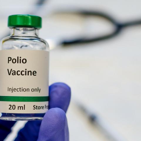 Detectan "polio salvaje" en aguas residuales en Alemania
