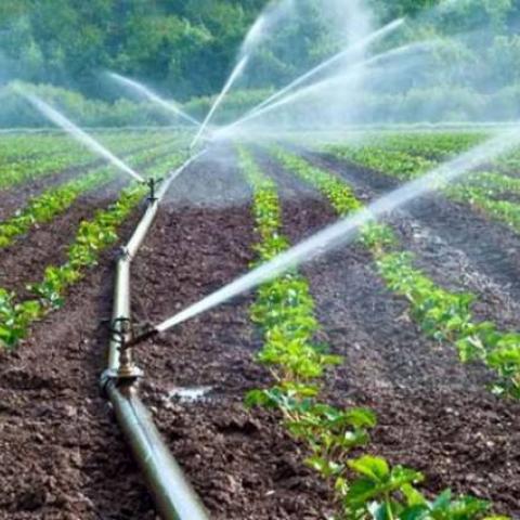 Gremio campesino señala rezago en trámite de 900 concesiones de agua de Aguascalientes; cuestionan reforma