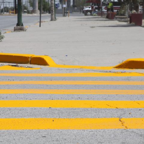 TEMPORADA DECEMBRINA 