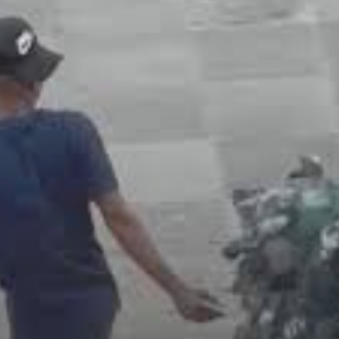 Caza palomas en el centro de Aguascalientes 