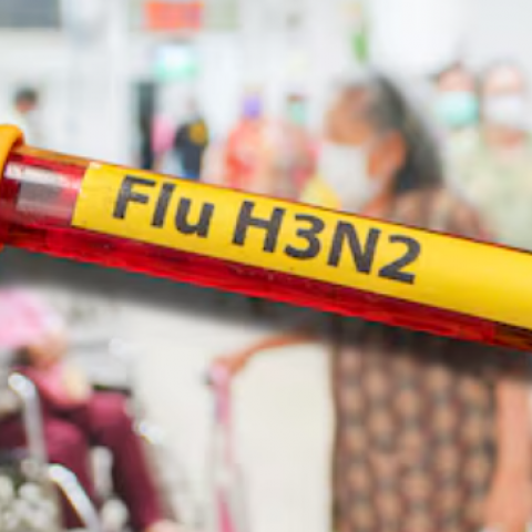 Influenza H3N2