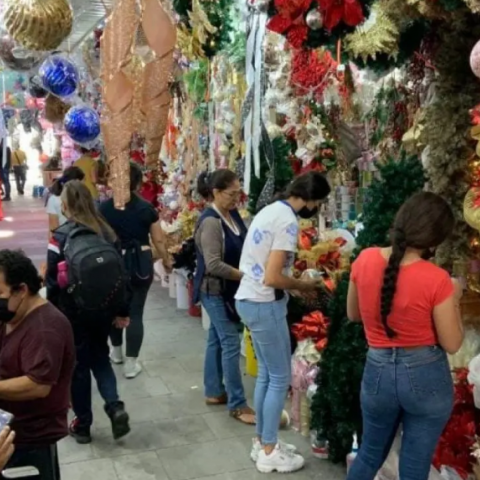 Tianguis Navideño de Jardín Carpio