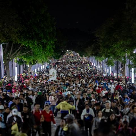 Millones de peregrinos llegan a la Básilica de Guadalupe 