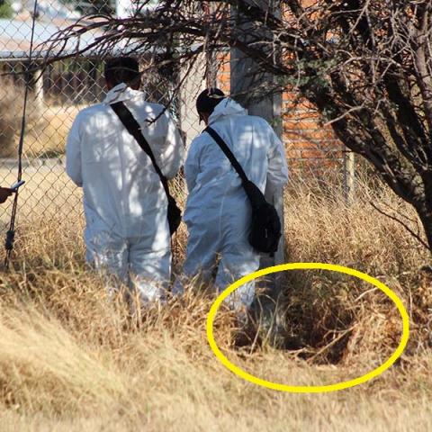 Al parecer intentaba robarse los cables de un poste de la CFE y sufrió una descarga