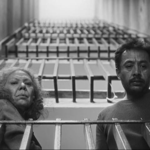 México queda fuera del Oscar 2026 en la categoría de Película Internacional 