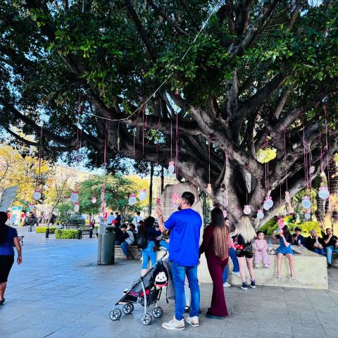 Hay una silla vacía en casa: Familias buscadoras cuelgan ‘esferas’ con fotografías de personas desaparecidas