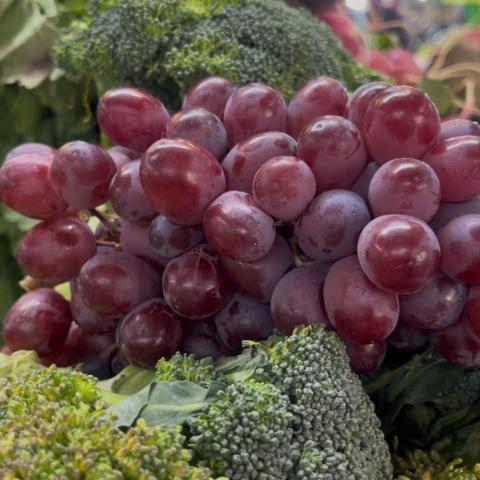 Aumenta hasta 60% el precio de la uva en Aguascalientes por inflación