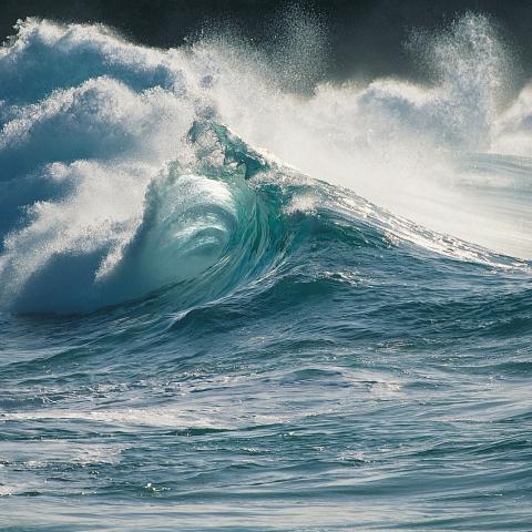 Japón emite alerta de tsunami tras terremoto de 7.6 de magnitud